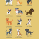 Illustration for article titled Adorable Drawings of Dog Breeds, Grouped By Their Place of Origin